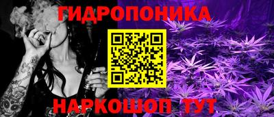индика Комсомольск-на-Амуре
