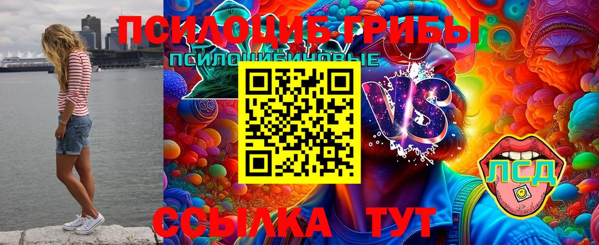 Кохма  Псилоцибиновые грибы ЛСД  Вход с VPN  Галлюциногенные грибы MAGIC MUSHROOMS 