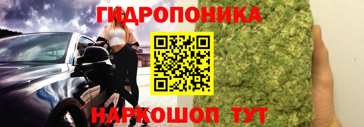 Канабис White Widow  Канабис OG Kush  Вход с VPN  Бошки Шишки индика  Кохма 